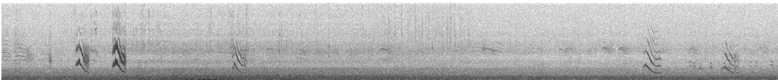 Black-faced Woodswallow - ML181467431