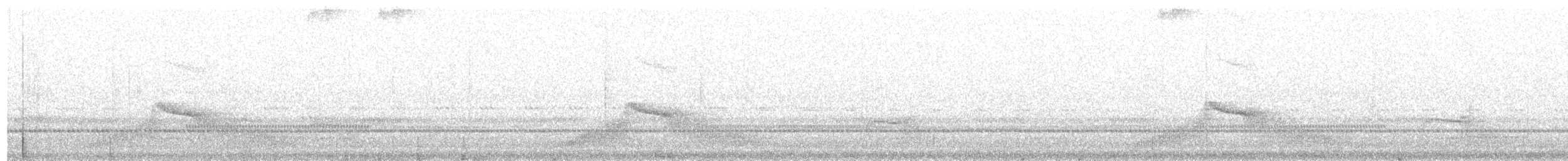 Swallow-tailed Nightjar - ML181554021