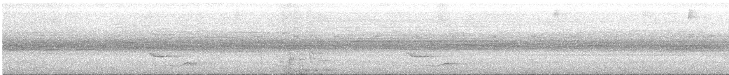 Трупіал-чернець галасливий - ML181601601