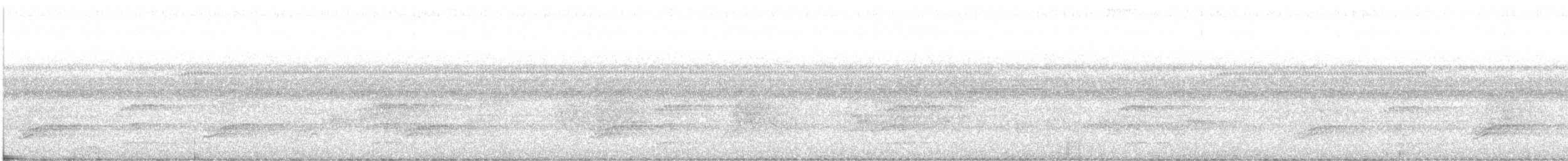 Weißgesicht-Hornvogel - ML181661171