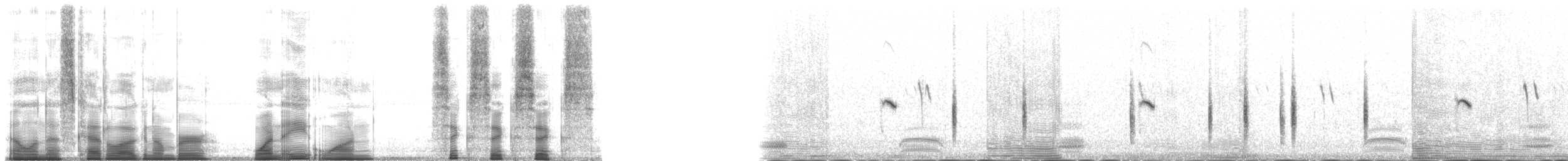 steinskvett (oenanthe/libanotica) - ML181666