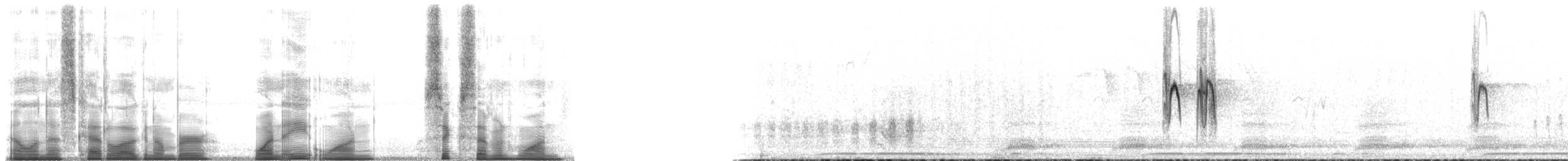 Деревенская ласточка (rustica) - ML181671