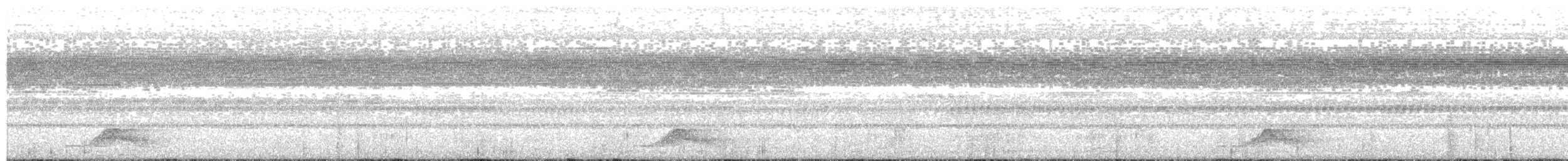 Augennachtschwalbe - ML181736061