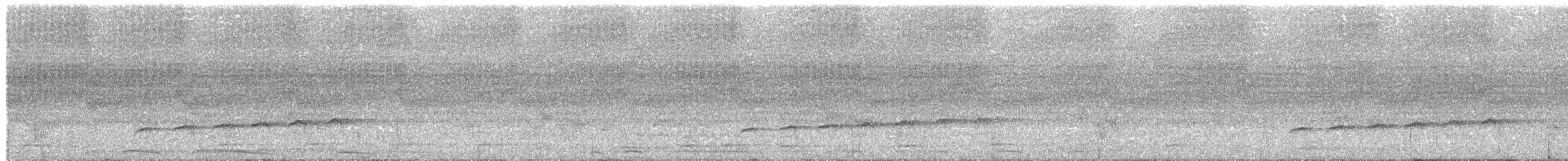 Square-tailed Drongo-Cuckoo - ML181846771