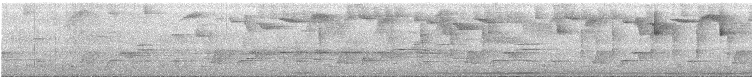 Troglodyte à poitrine grise - ML181850721