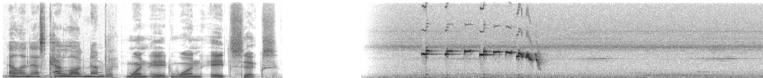 Kuzeyli Kestanerengi Karıncakuşu (hemimelaena) - ML18186