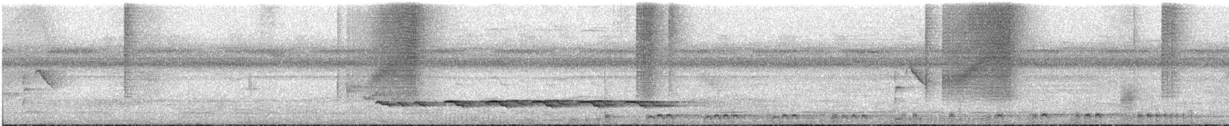 Weißschulter-Ameisenvogel - ML181928211