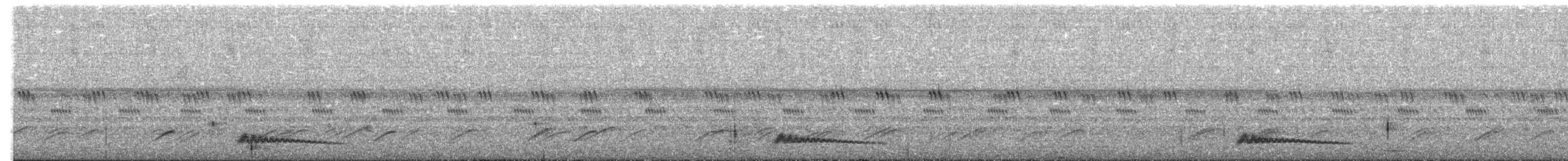 Augennachtschwalbe - ML181931551