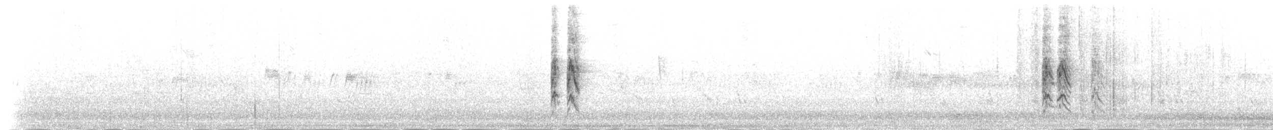 Dominik Palmiyekuşu - ML181967551