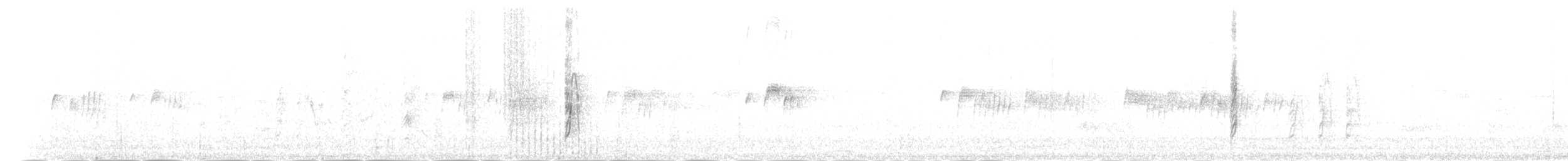 Dominik Palmiyekuşu - ML181970711