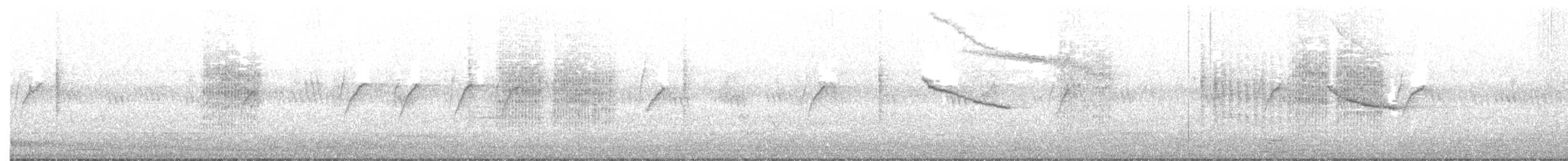 Blyth's Reed Warbler - ML182047471