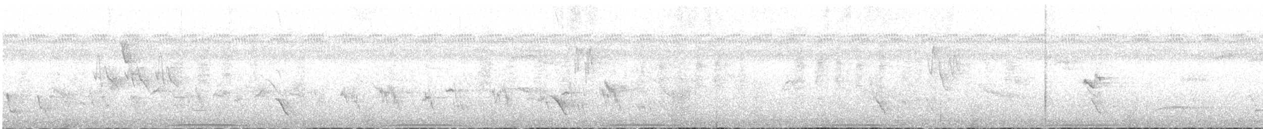 holub bělolící - ML182053281