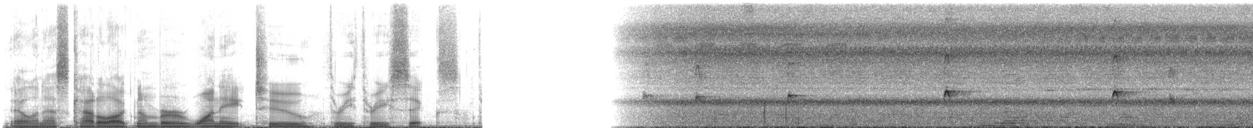 Свистач плямистобокий - ML182336