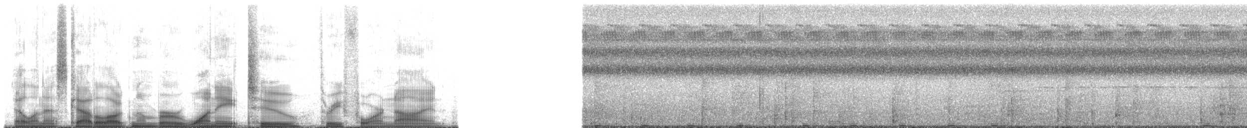 Bare-eyed Rail - ML182349