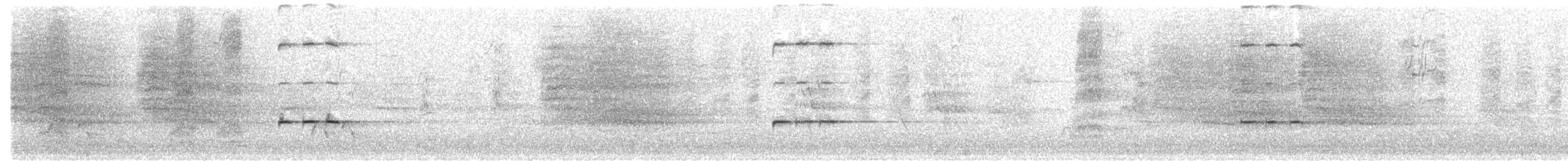 Perruche de Pennant (groupe elegans) - ML182362551