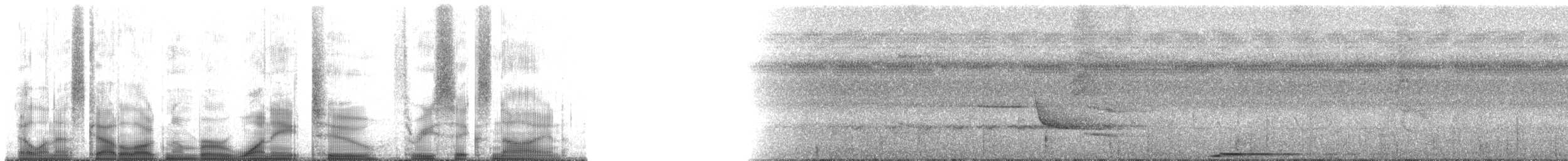 Drab Whistler - ML182369