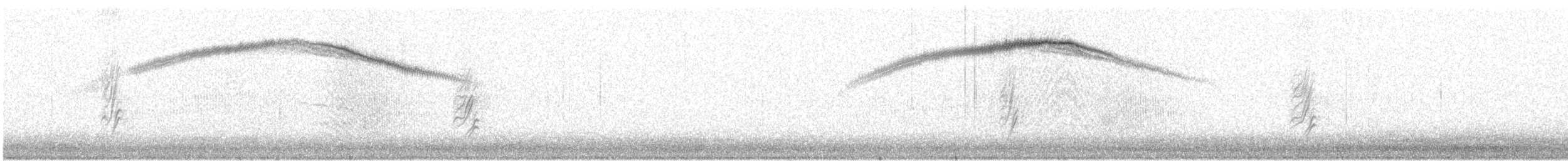 Costa's Hummingbird - ML182376581