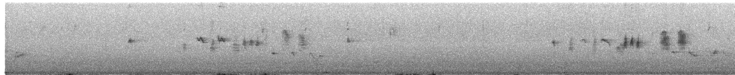 Mirlo Acuático Norteamericano - ML182390541