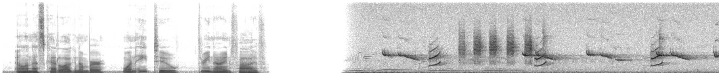 Phainopepla - ML182395