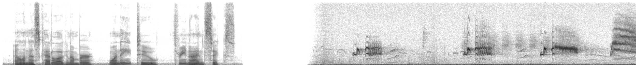 Northern Mockingbird - ML182396