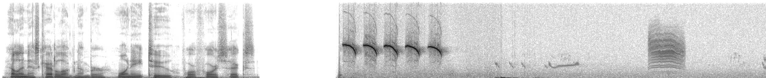 カオジロブユムシクイ（plumbiceps／anteocularis） - ML182446