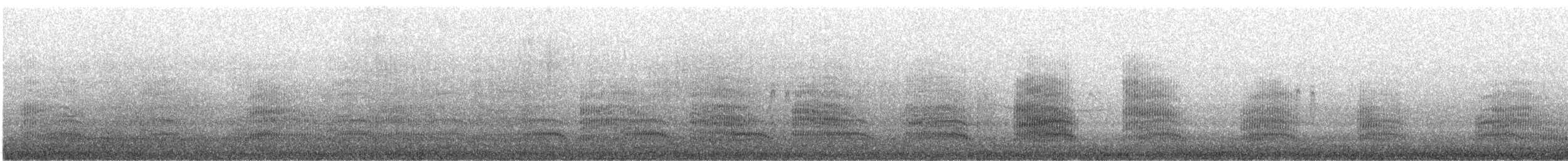 紐澳紅嘴鷗 - ML182463681