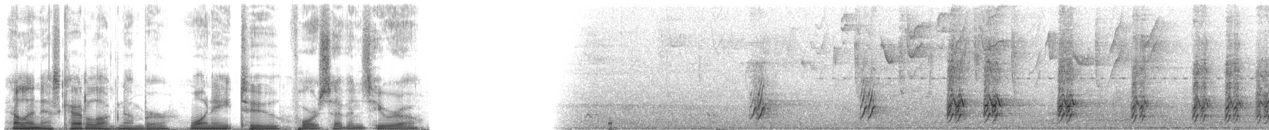 Конота іржаста (підвид oleagineus) - ML182470