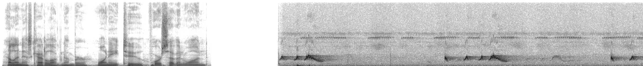 Rostnachtschwalbe (minimus) - ML182471