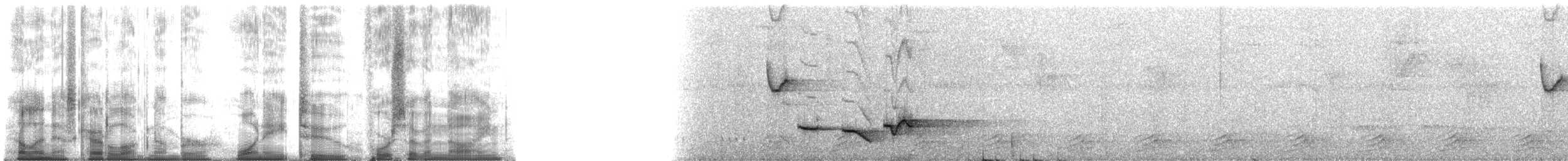 Troglodyte à poitrine grise (venezuelensis) - ML182479