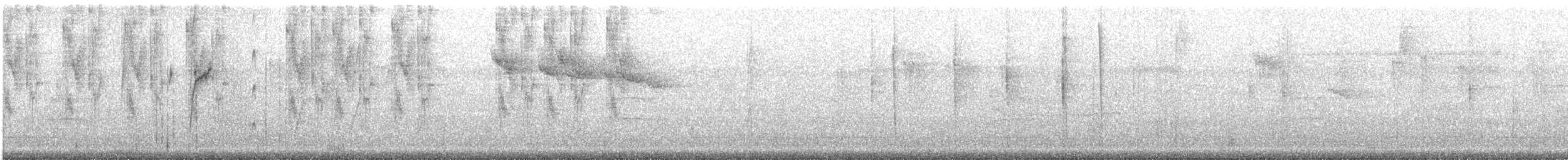 Белошапочный колибри - ML182482021
