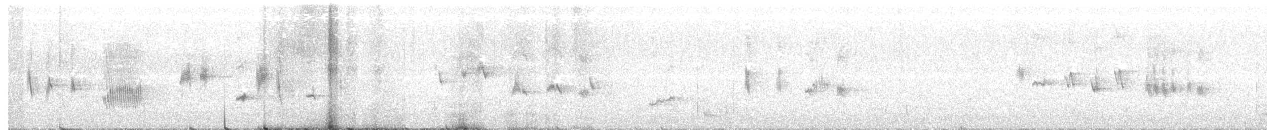 Mirlo Acuático Norteamericano - ML182529621