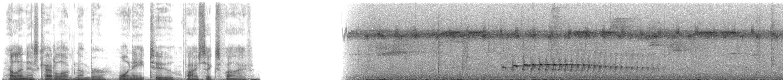 Grisin sombre (saturatior/vicina) - ML182565