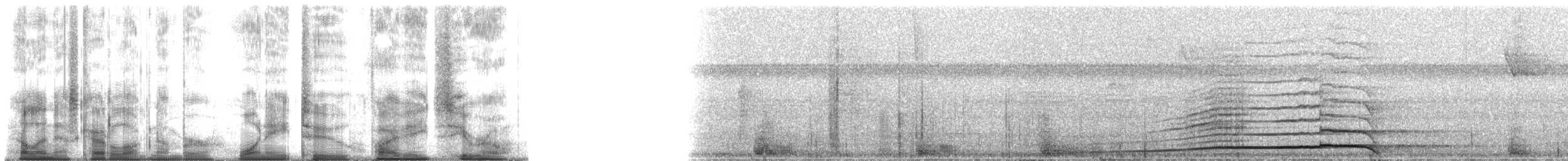 Marail Guan - ML182580