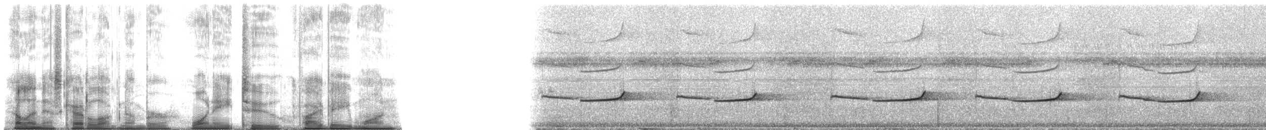 Cinereous Mourner - ML182581