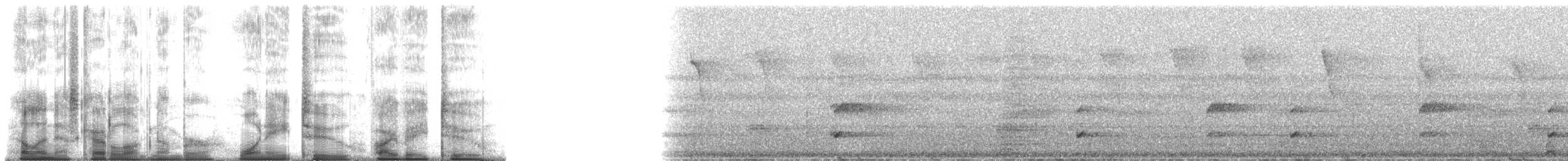 Ferruginous-backed Antbird - ML182582