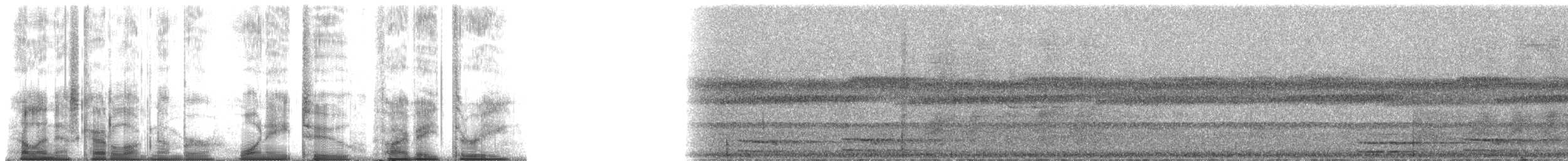 Lined Forest-Falcon - ML182583