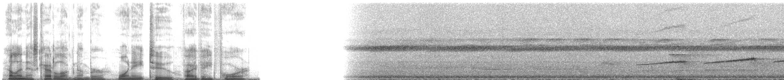 Common Scale-backed Antbird (Common Scale-backed) - ML182584