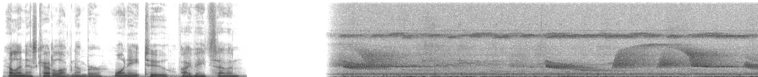 Мурав’янка сірочерева (підвид torquata) - ML182587