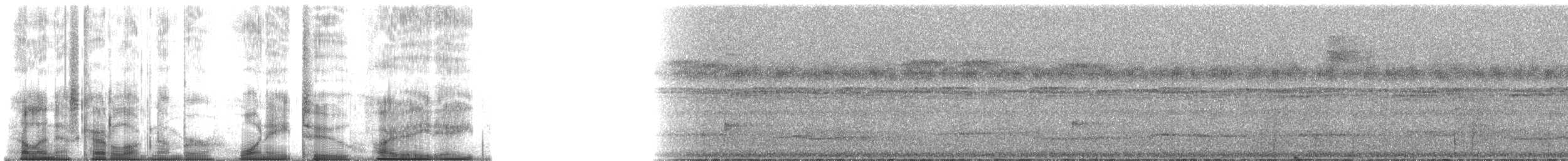 White-fronted Manakin - ML182588