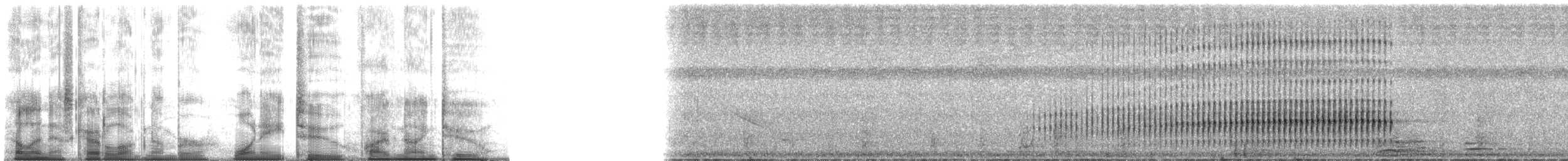 Olivmantelspecht [rubiginosus-Gruppe] - ML182592