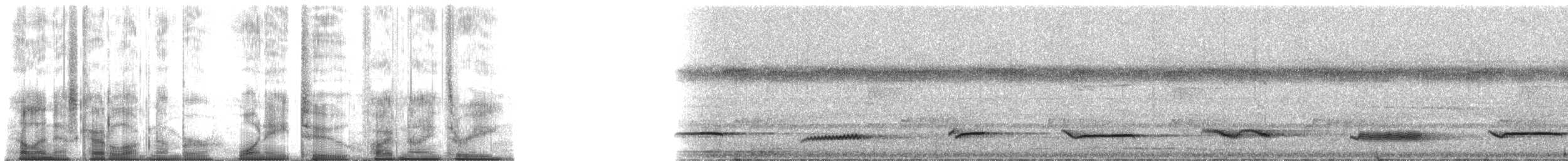 White-necked Thrush (Gray-flanked) - ML182593