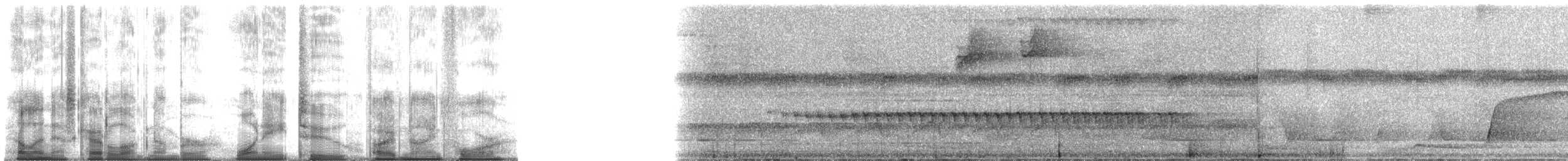 Spot-winged Antbird - ML182594