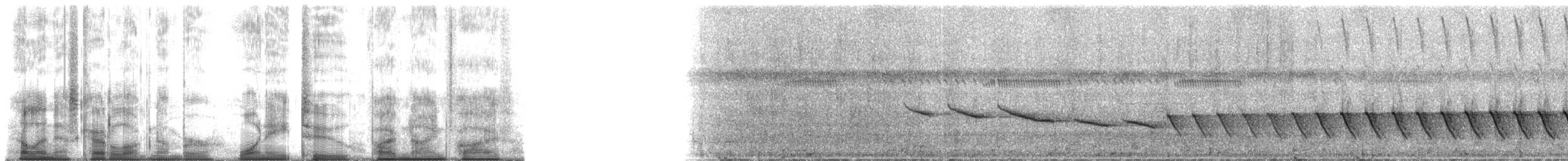 Riverbank Warbler (Northern) - ML182595