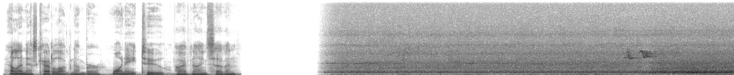 Sharpbill - ML182597