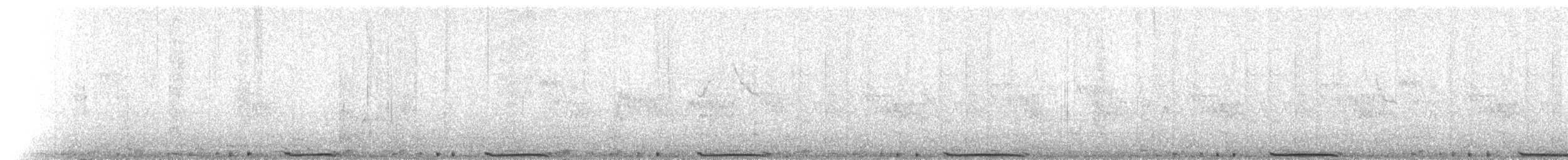 Pigeon biset (forme domestique) - ML182607891
