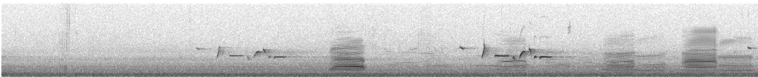Сероголовая щетинкоклювка - ML182613231