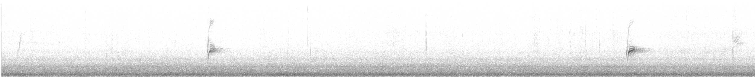 Сероголовая щетинкоклювка - ML182613261