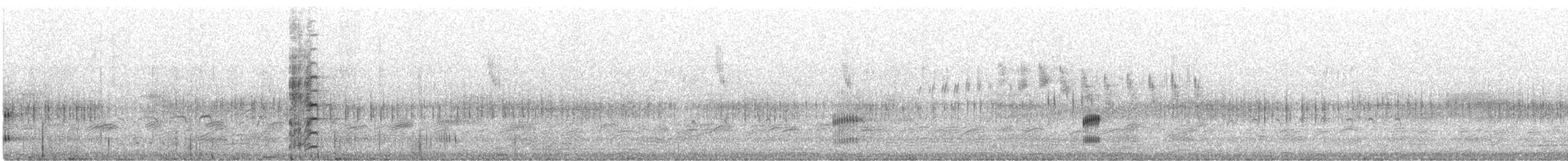 Perruche à tête pourpre - ML182614641