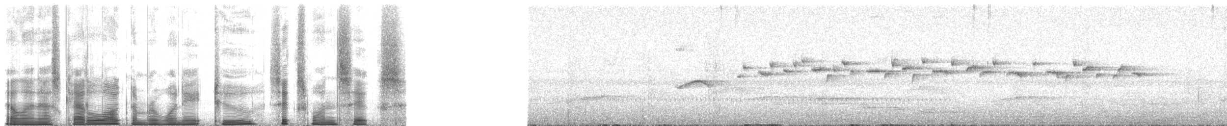 Pracht-Kragenparadiesvogel - ML182616