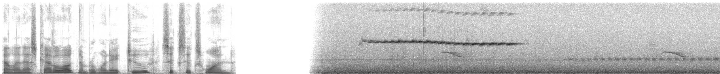 Королець-чернець білокрилий - ML182661